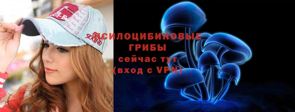 тгк Алексин