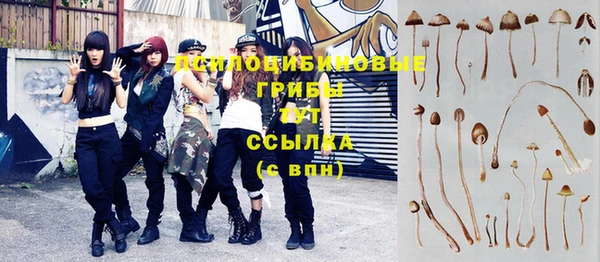 тгк Алексеевка