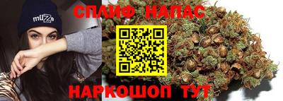 индика Волжский