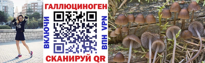Псилоцибиновые грибы Psilocybine cubensis  цена   МЕГА рабочий сайт  Воткинск 