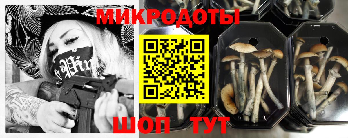 Псилоцибиновые грибы GOLDEN TEACHER Воткинск